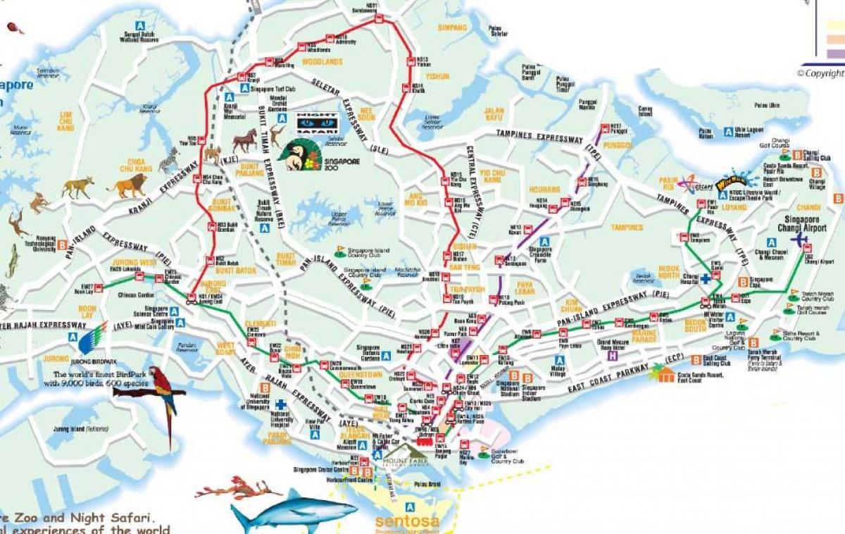 Дарожная карта Сінгапура
