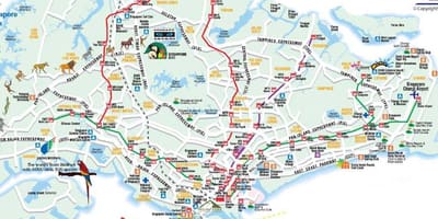 Дарожная карта Сінгапура